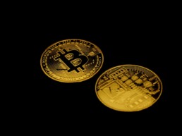 bitcoin gold token